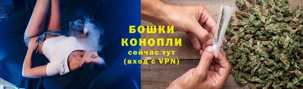 прущие грибы Вяземский