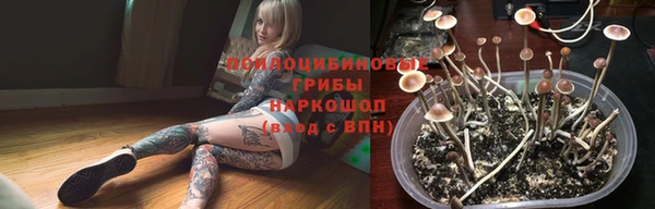прущие грибы Вяземский