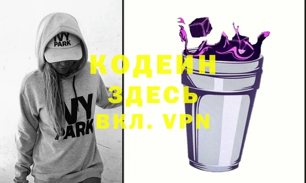 гидра Снежногорск