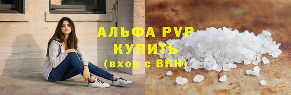 прущие грибы Вяземский