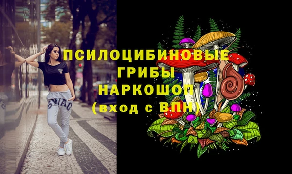 крисы Верея