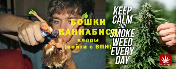 прущие грибы Вяземский